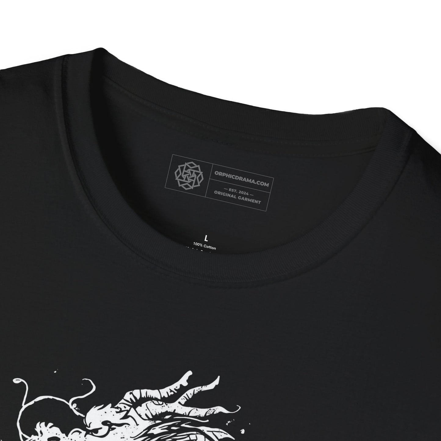 Dragon T-Shirt - Grunge Mythic Dragon Graphic Tee