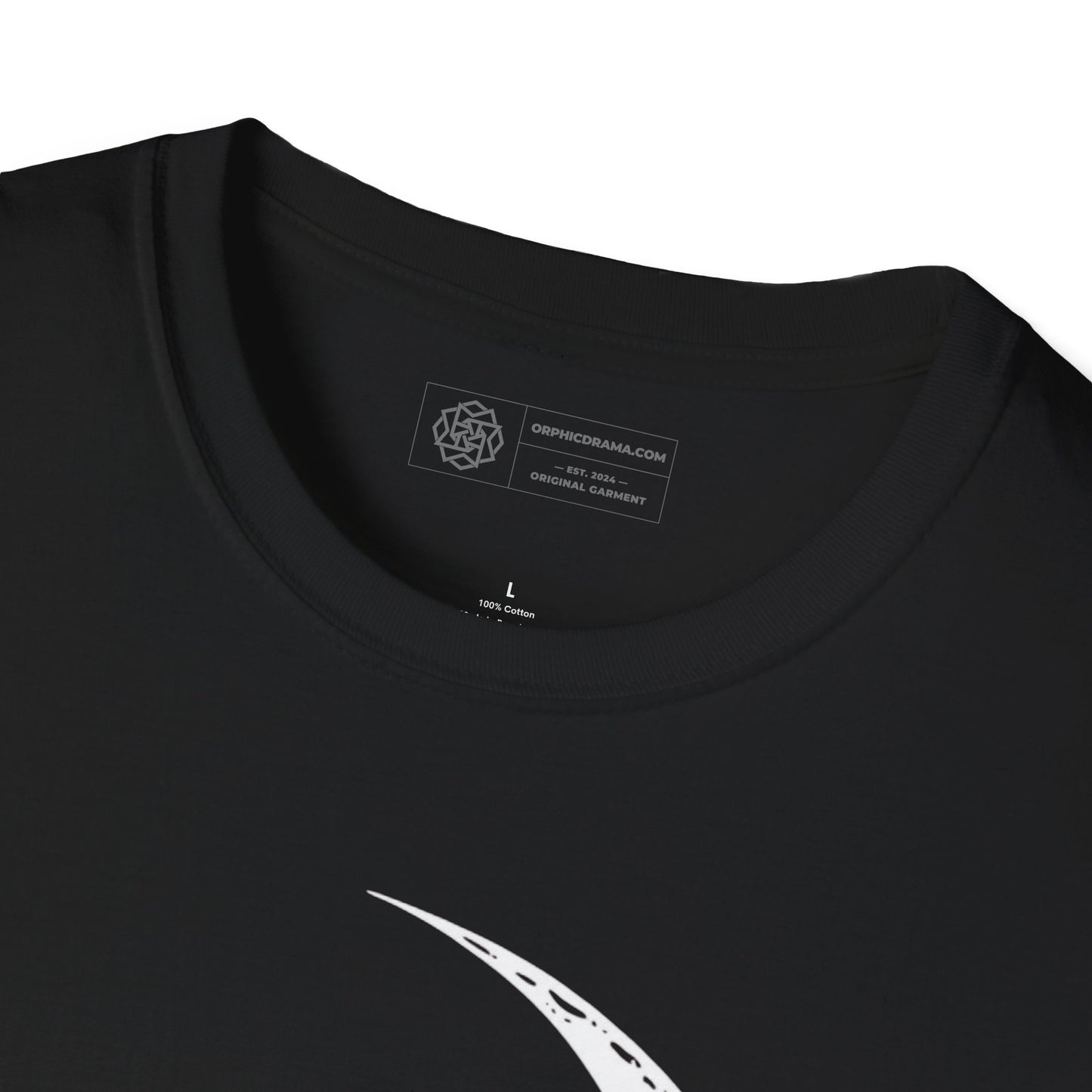 Crow on Crescent Moon T-Shirt